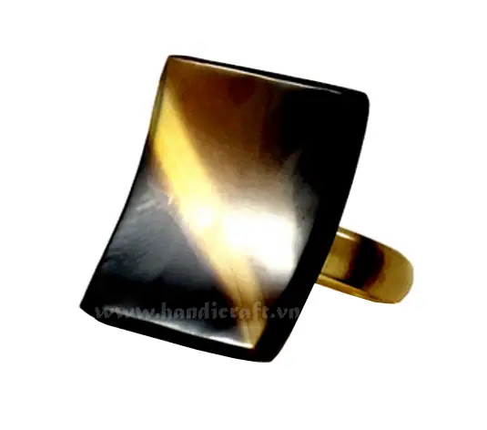 Horn Ring HD40041, handmade buffalo horn jewelry