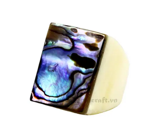 Bone Ring HD40059, handmade buffalo horn jewelry